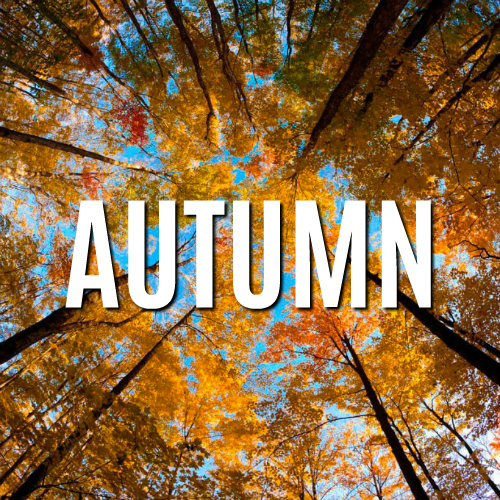 Autumn playlist